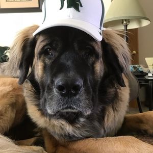 Meet your Posher, Jeff